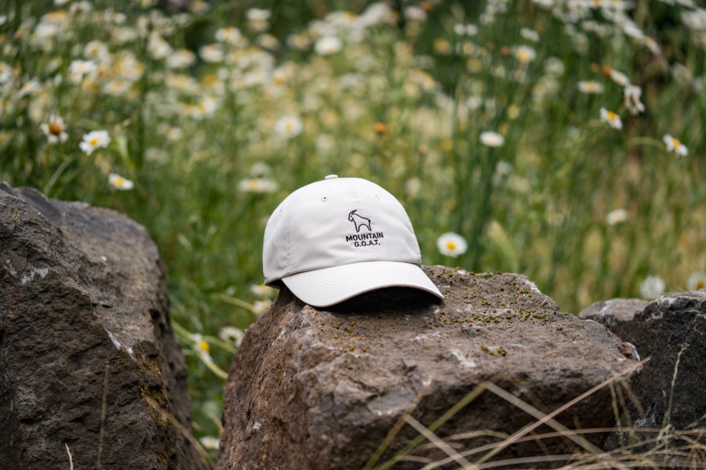 Mountain G.O.A.T. cap on a rock in a field of daisies