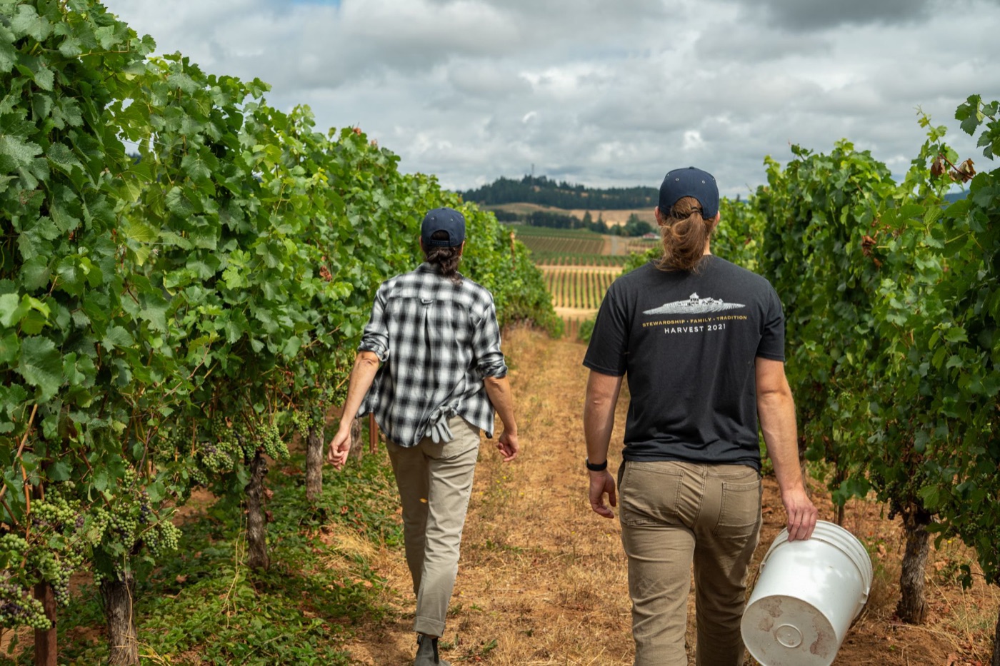 Two vineyard workers in navy caps walking between rows of vines